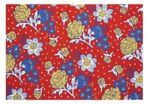 A bright rug from Molly Hatch