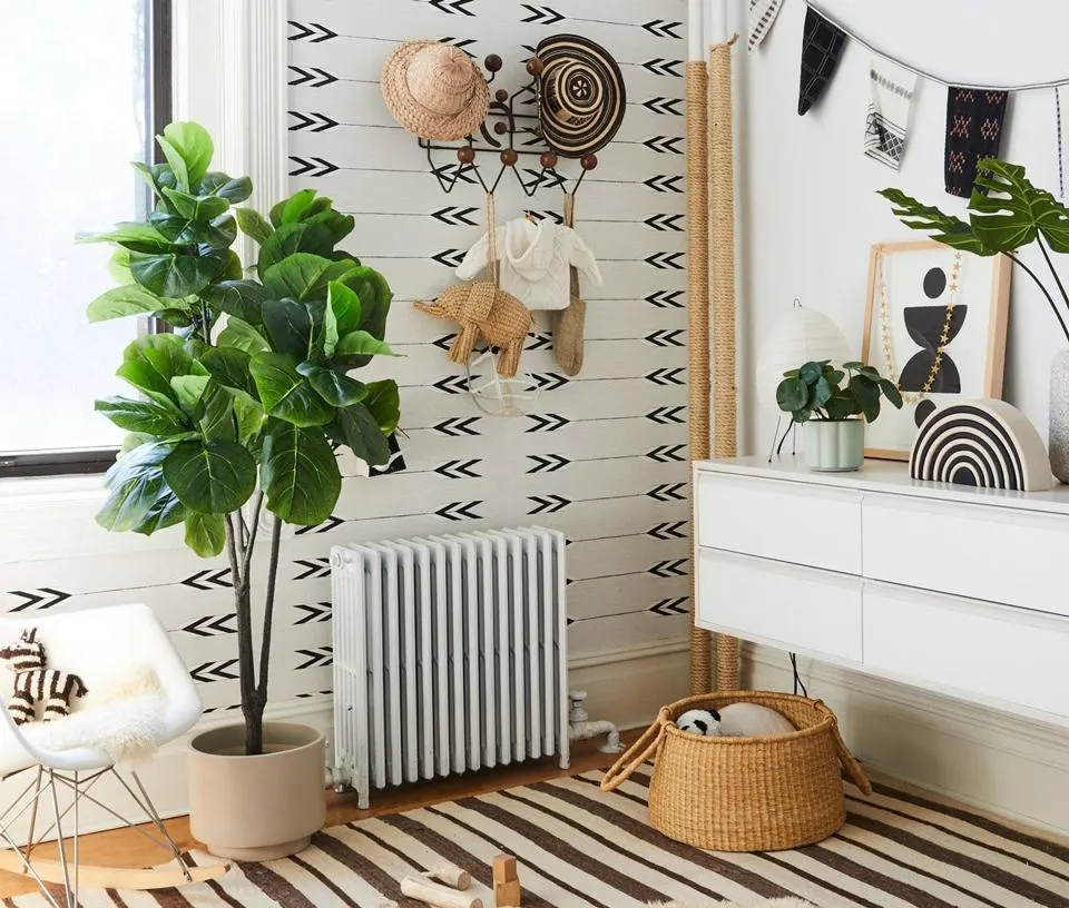 A child's room, with plants from the Sill